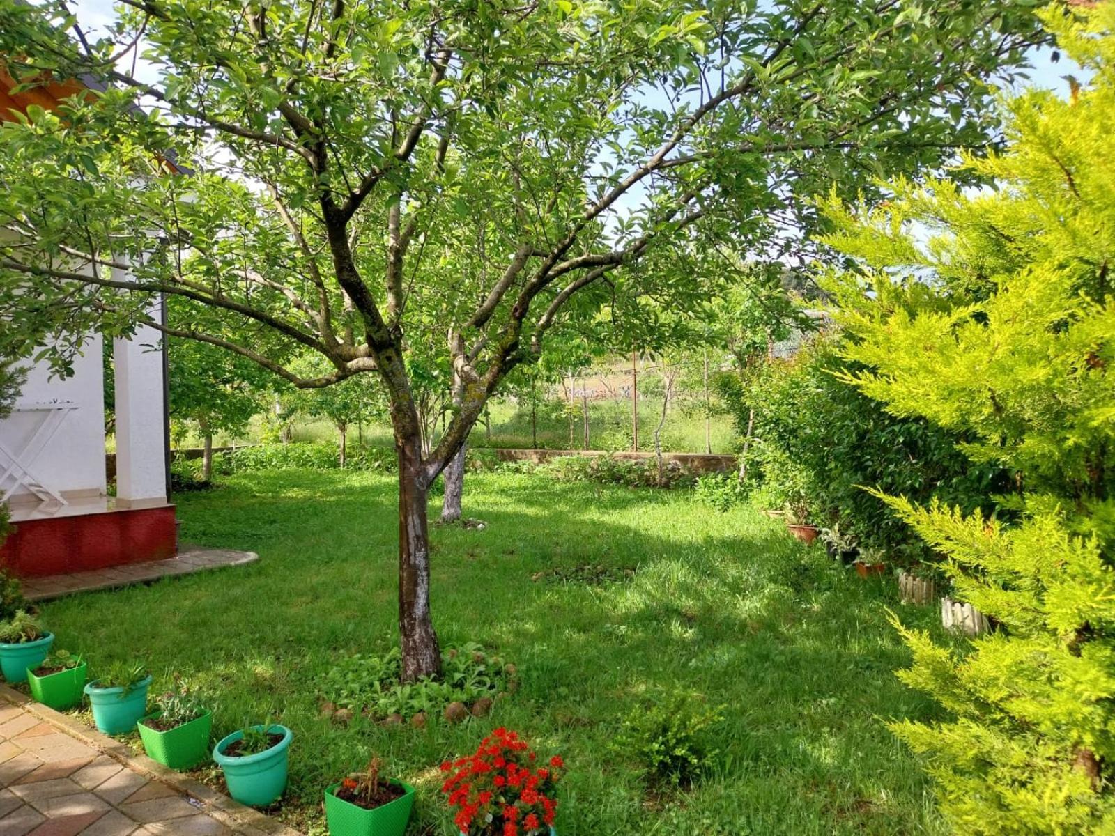 Riza Guest House Puke Zewnętrze zdjęcie